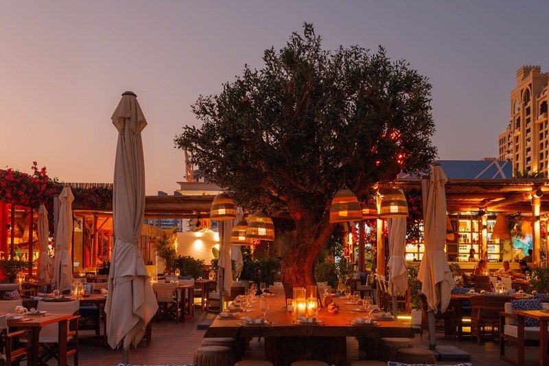 Dining & lounge